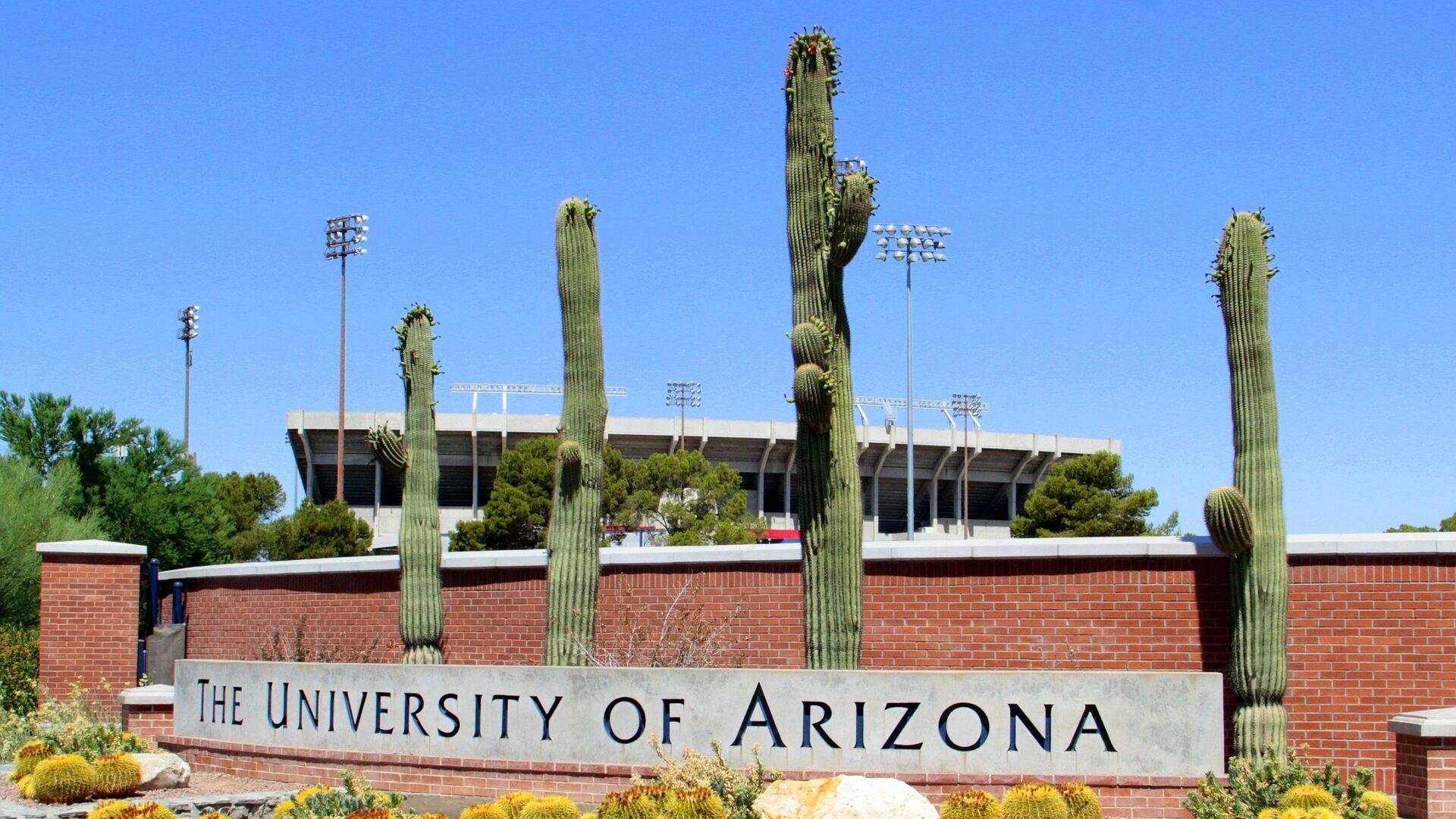 University of Arizona campus sign with saguaro cacti