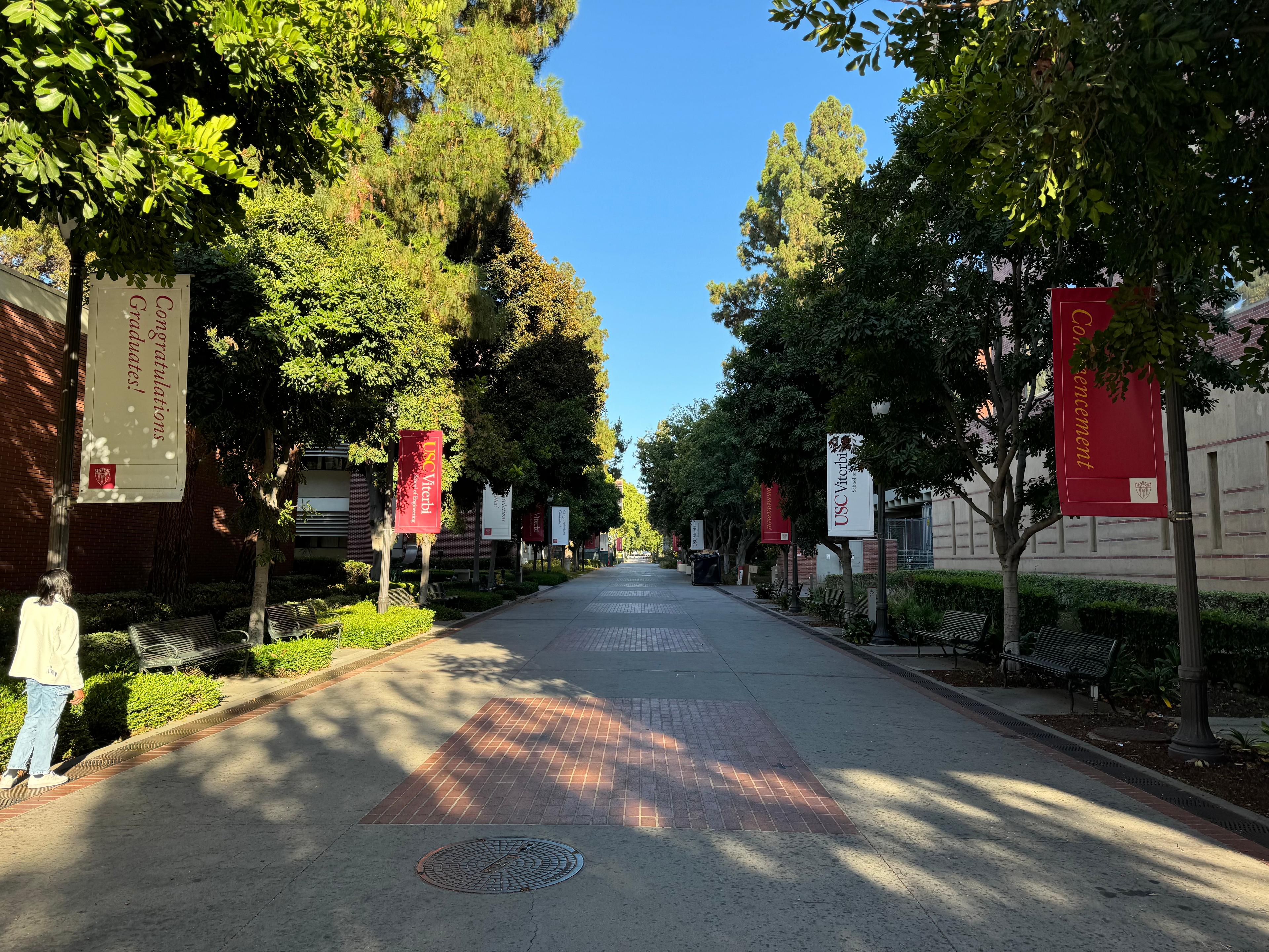A tree-lined USC Viterbi walkway hung with commencement and congratulations-to-graduates banners